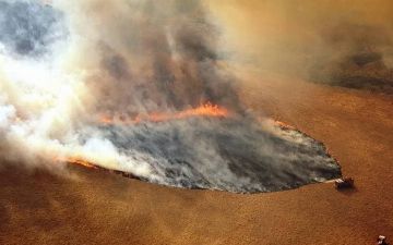 Австралия вновь в огне 