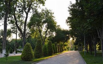 В Узбекистане зафиксирована рекордная температура в феврале