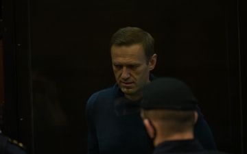 Австрия выступила против чрезмерных санкций из-за ситуации с Навальным