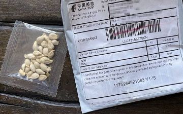 Министерство сельского хозяйства США завершило расследование «загадочных семян» из Узбекистана