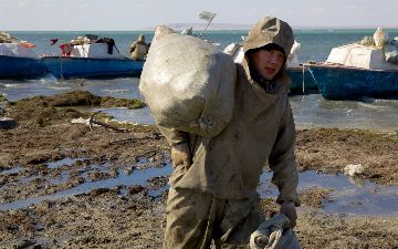 На дне высохшего Арала можно реализовать проекты на сотни миллионов долларов построив заводы