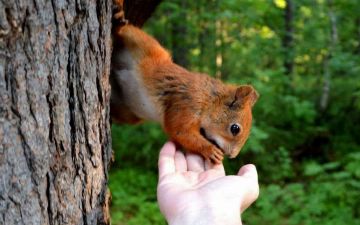 Ученые выявили простой способ улучшить психическое здоровье