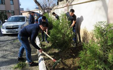 На праздничном хашаре планируется посадить около 500 тысяч деревьев