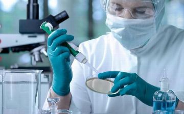 Найден путь удержания распространения раковых клеток