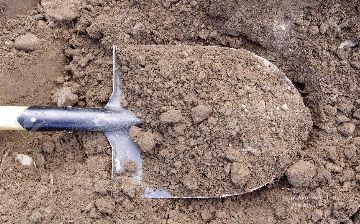 В Самарканде женщина сожгла двух детей, ставших свидетелями её преступления