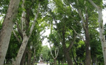 Компания IQAir определила уровень загрязнения ташкентского воздуха