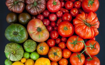 Российский диетолог назвала помогающий от перепадов настроения продукт