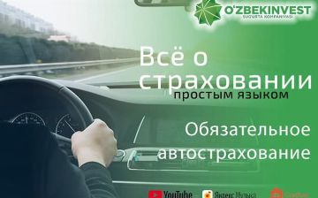Все о страховании простым языком: cтрахование ОСАГО в Узбекистане