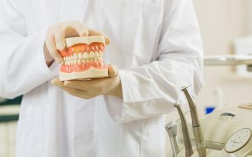 Японские генетики нашли способ восстанавливать недостающие зубы