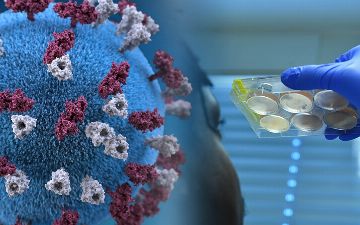 Обновлена статистика зараженных коронавирусом в Узбекистане