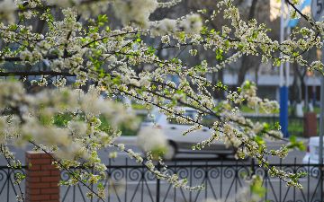 Узбекистанцам пообещали дожди и прохладную погоду