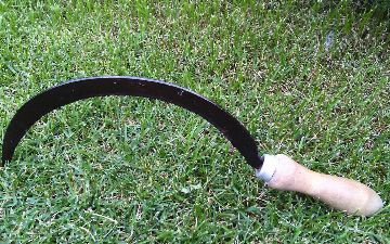 В Самарканде нетрезвый мужчина зарубил серпом бывшую тещу  