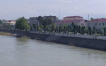 В Намангане мать привязала к себе своего 4-х летнего ребенка и сбросилась с моста