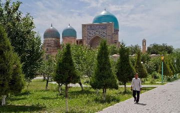 Узбекистан озеленится: в стране будут созданы «зелёные зоны» площадью не менее 50 гектаров