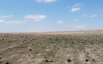 Кто виноват в страшнейшей экологической проблеме возле города Карши? В Госкомэкологии прокомментировали ситуацию с «целлофановой долиной»