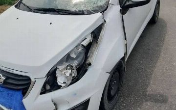 Узбекистанец, лишенный прав, сбил насмерть человека на пешеходном переходе