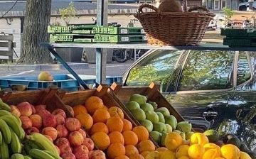 Российский нутрициолог рассказала об омолаживающих продуктах