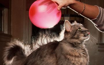 Почему человек бьется током, и можно ли этого избежать?