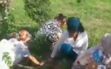 Медсестра из Шахрисабза заставила коллег полоть траву и поплатилась - видео