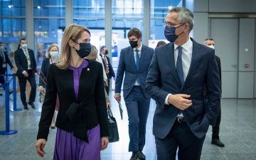 Генсек НАТО призвал освободить бывшего главреда NEXTA