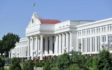 Сенат возьмет под контроль случай с избиением выпускников детского дома сотрудниками правоохранительных органов