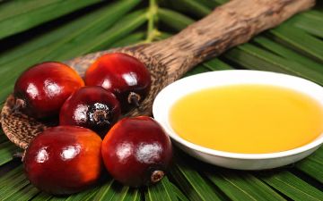 Разбираемся вместе с врачом-эндокринологом, вредно ли употреблять пальмовое масло