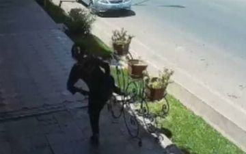 Жительница Самарканда пнула тумбу с цветами. Выяснилась причина такого поведения