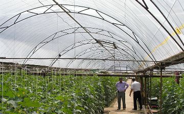 Узбекистан обзаведется типовыми домами с теплицами: их будут бесплатно передавать населению