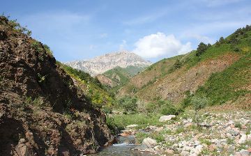 Охраняемые природные территории Узбекистана будут расширены более чем на 10 процентов