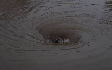 В Наманганской области утонула 12-летняя девочка 