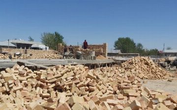 В Самарканде начали незаконную стройку на месте бульвара с деревьями 