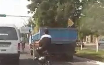 В Андижане выкопали декоративные деревья после визита президента. Областной хокимият прокомментировал данный инцидент - видео