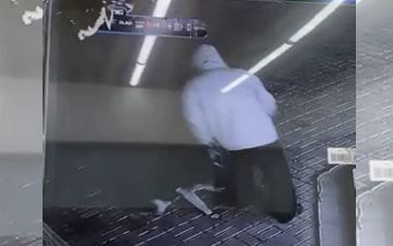 Вынесен приговор кашкадарьинцу, избившему свою собаку железной цепью