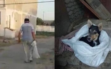 Житель Джизака хотел выкинуть собаку в канал. По словам мужчины, она ему «надоела»