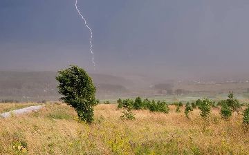 Жителей Ферганы попросили не выходить из дома из-за сильного ветра, дождя и непогоды