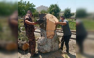 В Самаркандской области жители незаконно срубили деревья на десятки миллионов сумов 