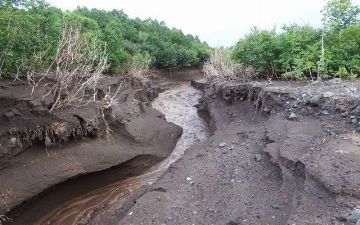 Узгидромет предупреждает об опасности схода селя в трёх областях страны