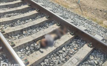 В Кашкадарьинской области женщина бросилась под поезд вместе с двумя детьми