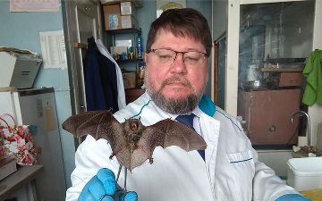 Коронавирусная инфекция «утекла» из лабораторий — эксперт