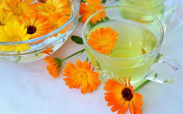 Какие растения помогут залечить ушибы и раны?