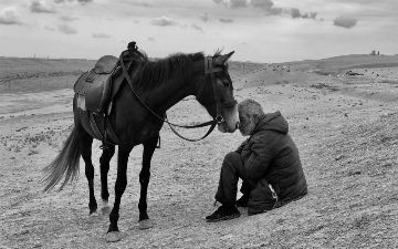 Объявлены лучшие фотографии 2021 года, сделанные на iPhone