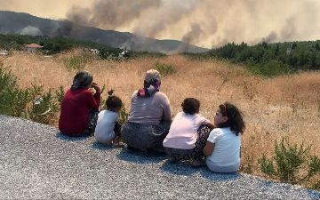 Президент Турции объявил пострадавшие от пожаров регионы зоной бедствия 