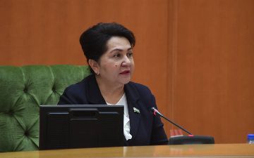 «Люди платят штрафы и снова продолжают рубить деревья», — Танзила Нарбаева раскритиковала работу Госкомэкологии