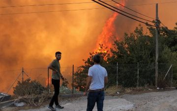 В Турции потушили более ста лесных пожаров