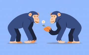 6 мифов о генах, которые были опровергнуты, но люди продолжают в них верить