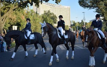 По всему Узбекистану появятся школы наездников: на их базе будут организованы центры иппотерапии