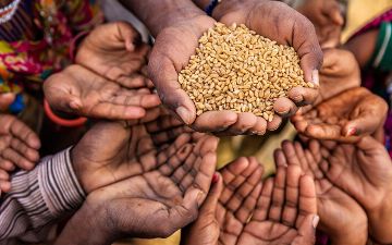 COVID-19 оставил миллионы людей без еды