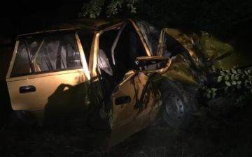 В Джизакской области «Нексия» въехала в дерево. Виноват заблокированный руль