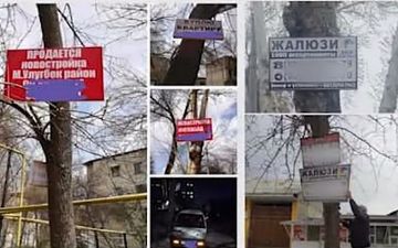 В Узбекистане участились случаи установки рекламных вывесок на деревьях