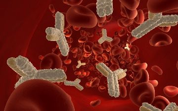 Выяснилось, от чего зависит уровень антител после вакцинации